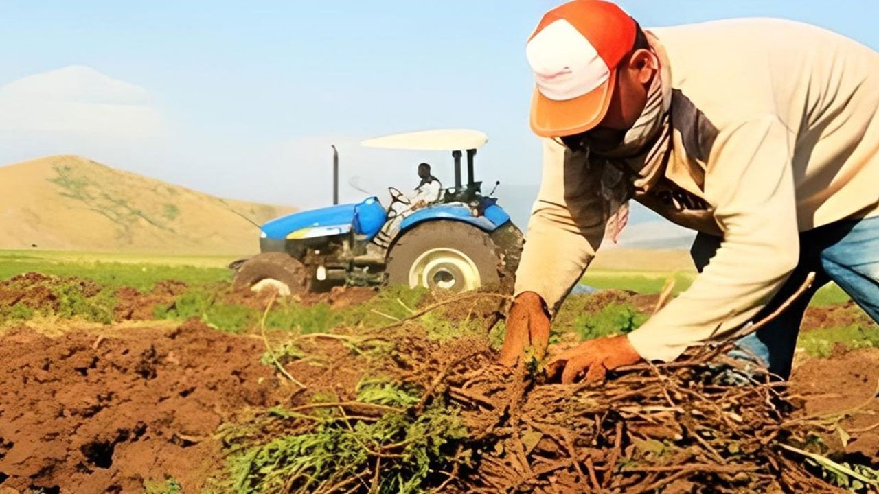 Çiftçileri sevindiren destek: Hibeli tohum desteği geliyor