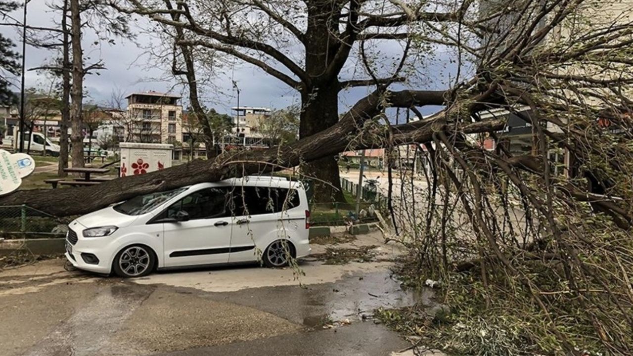 Bursa'da etkisini gösteren lodos şehirde ağaç ve çatı bırakmadı